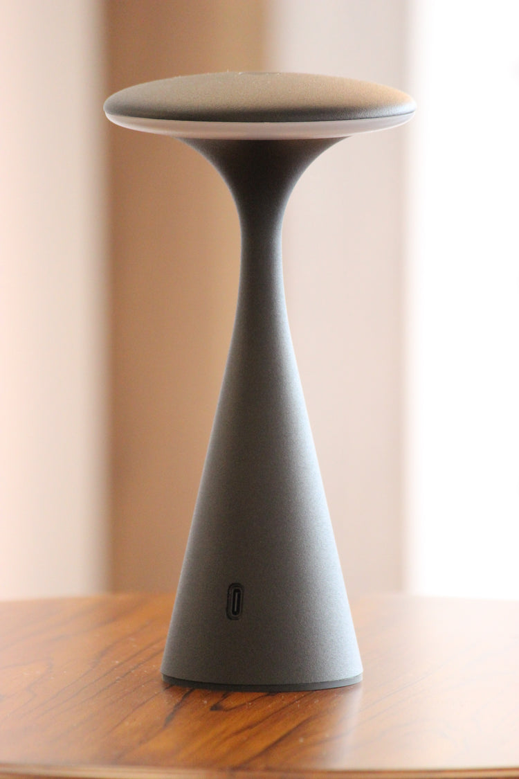 LX/3242- LUMAX TABLE LAMP LED TYPE-C CHARGEABLE